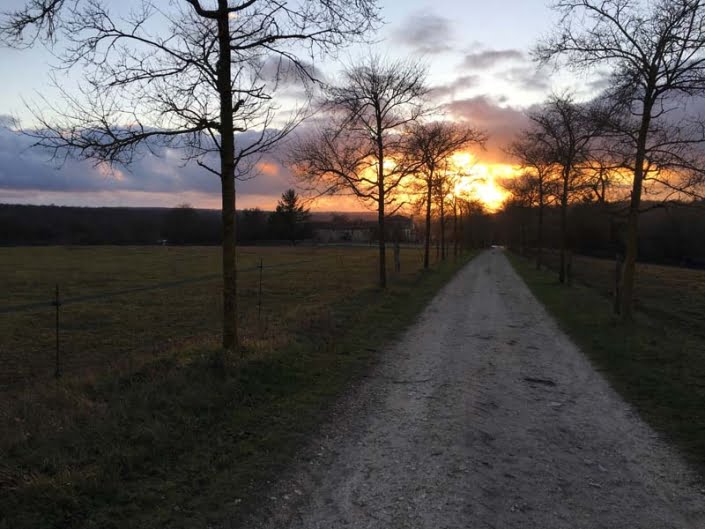 Oprit in de avond Oprit in de avond
