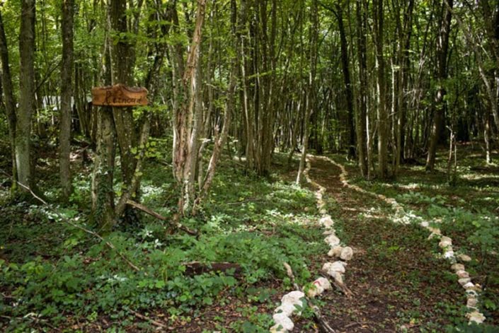 Boswandeling bij klooster Boswandeling bij klooster