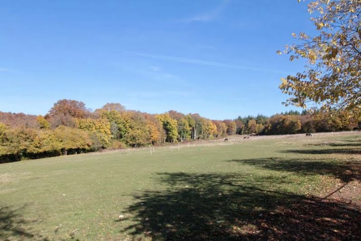 Omgeving buiten Omgeving buiten