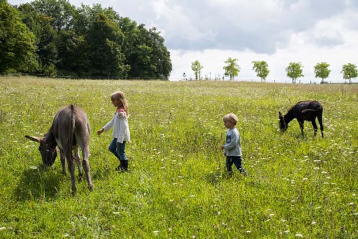 Ezel in wei Ezel in wei