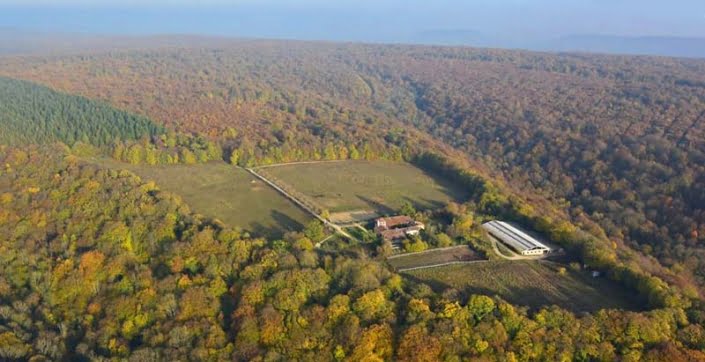 Klooster geheel Klooster geheel