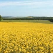 Omgeving klooster Frankrijk in department Meuse