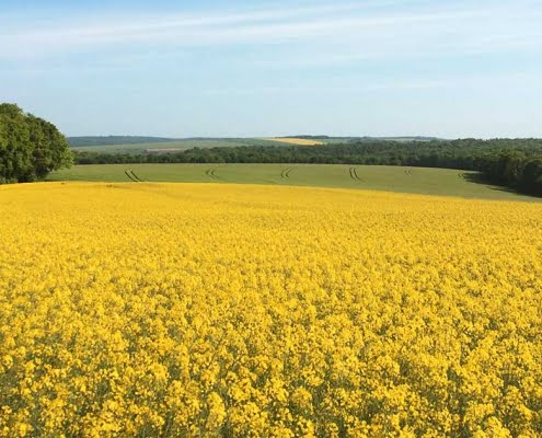 Omgeving klooster Frankrijk in department Meuse