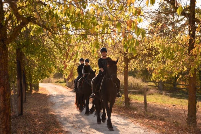 Oprit bij klooster Oprit bij klooster