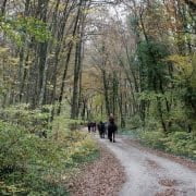 Oprit van klooster- wandelen, hiken en paardrijden