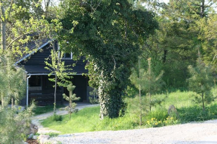 Zwarte stallen Zwarte stallen